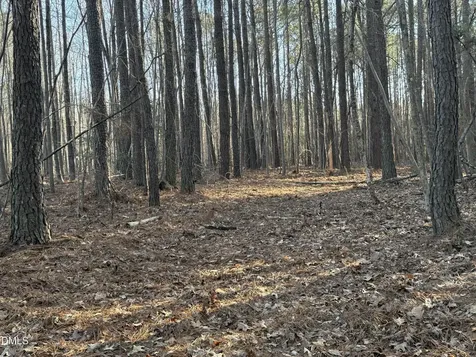 01 Massey Road Zebulon NC 27597
