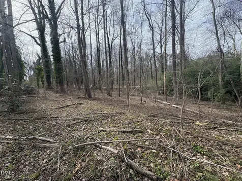 0 Wimbledon Drive Roxboro NC 27573