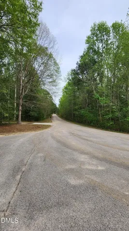 126 W Silver Belle Drive Zebulon NC 27597