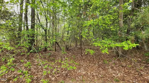 126 W Silver Belle Drive Zebulon NC 27597