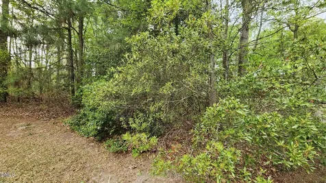 126 W Silver Belle Drive Zebulon NC 27597