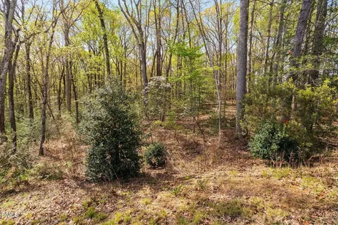 52 Shergold Drive Pittsboro NC 27312