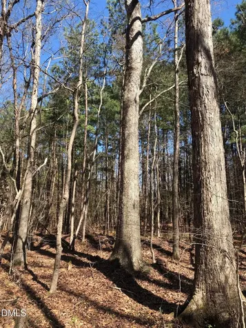 910 Nc-902 Pittsboro NC 27312