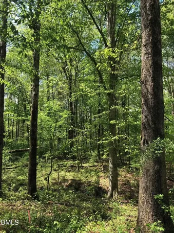910 Nc-902 Pittsboro NC 27312