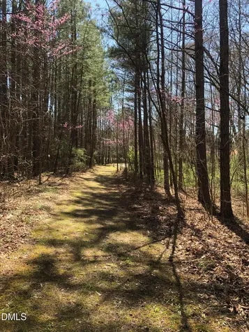 910 Nc-902 Pittsboro NC 27312