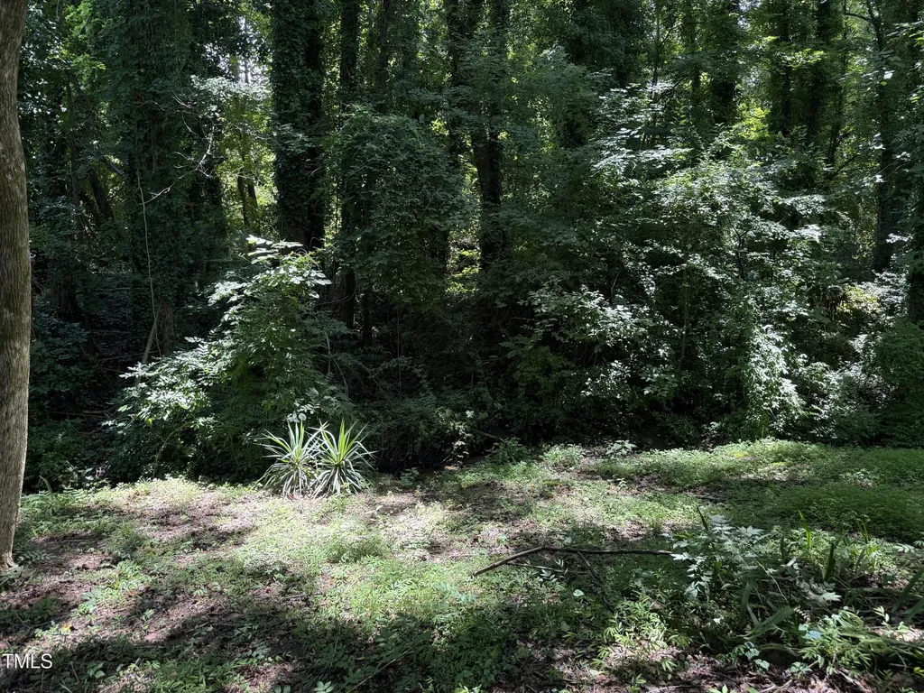 2308 Stonesthrow Court Raleigh NC 27610