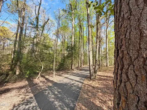 118 Eagle Rock Drive Lillington NC 27546
