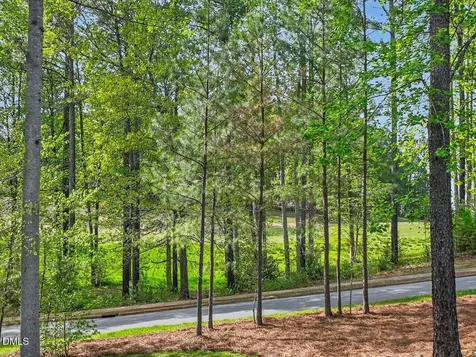 36 Nuthatch Drive Pittsboro NC 27312