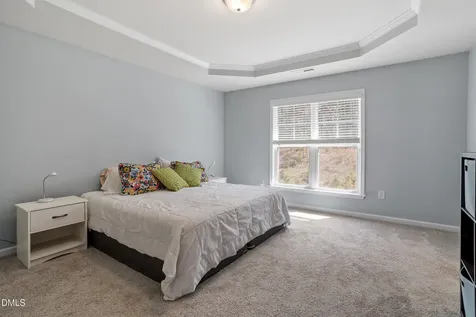 3169 Retama Run New Hill NC 27562