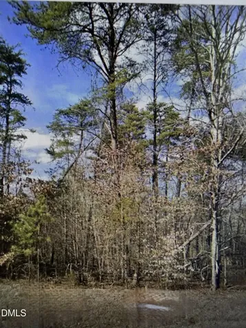 Lot 11 Lynn Smith Road Semora NC 27343