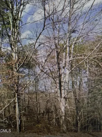 Lot 11 Lynn Smith Road Semora NC 27343