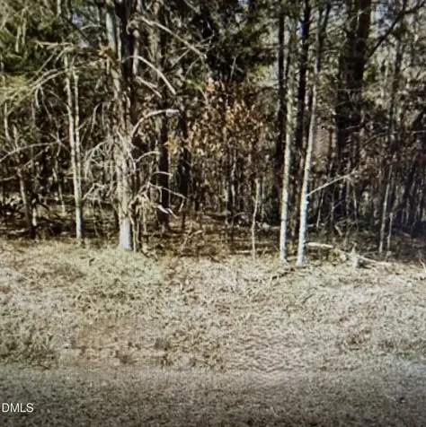 Lot 11 Lynn Smith Road Semora NC 27343