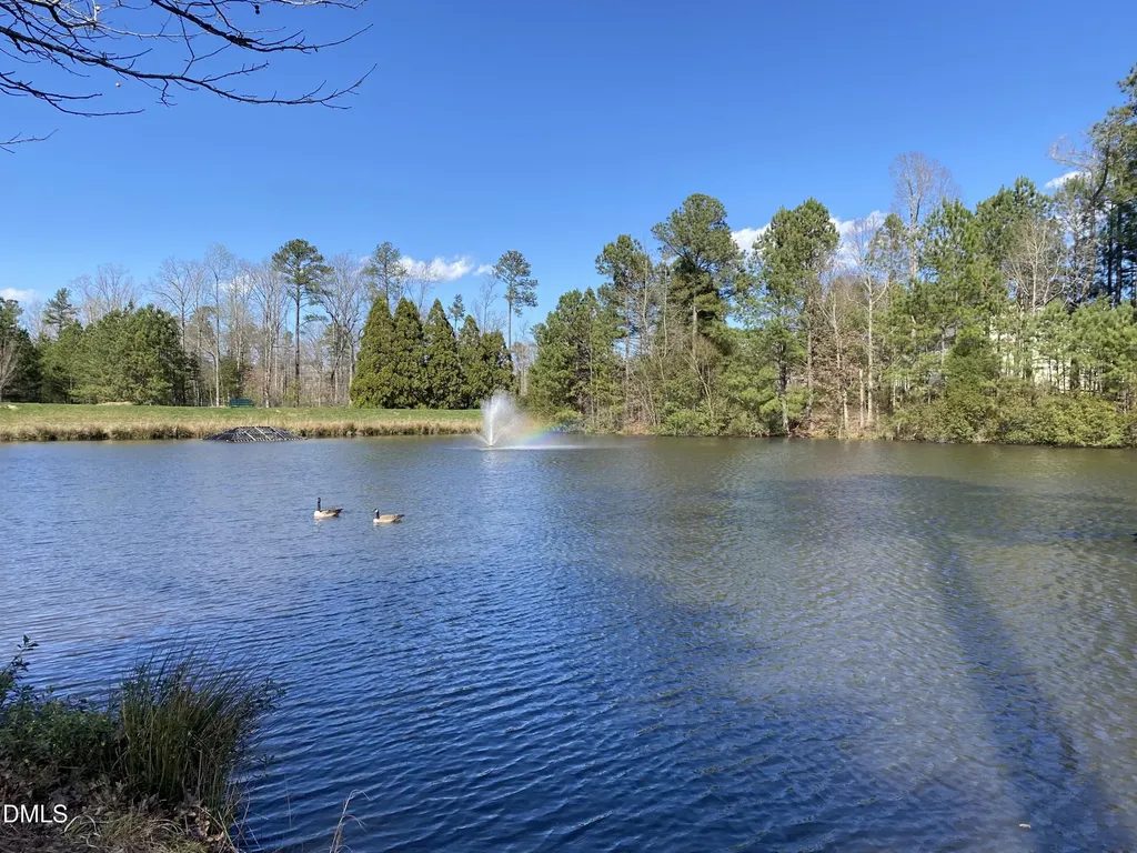 202 Millicent Way Morrisville NC 27560