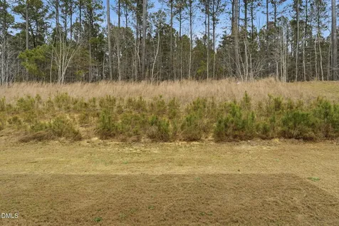 224 Ivy Banks Drive Angier NC 27501