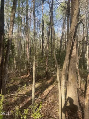 0 Ed Lane Carthage NC 28327