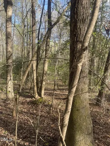 0 Ed Lane Carthage NC 28327