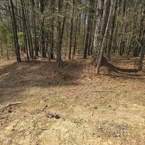 133 Sequoia Drive Louisburg NC 27549