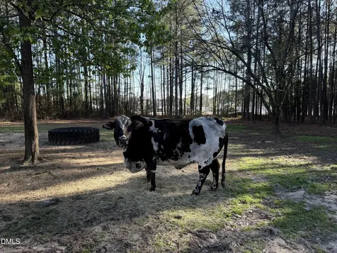 3032 Federal Road Benson NC 27504