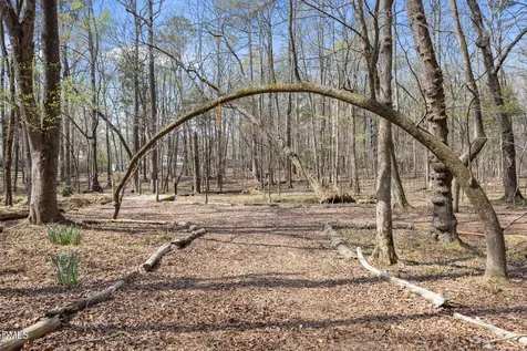 2515 Moores Mill Road Rougemont NC 27572