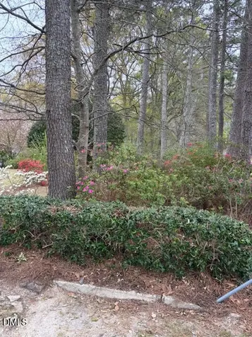 429 Butts Road Angier NC 27501