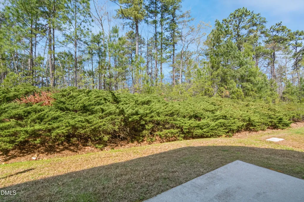 721 Hamlet Park Drive Morrisville NC 27560