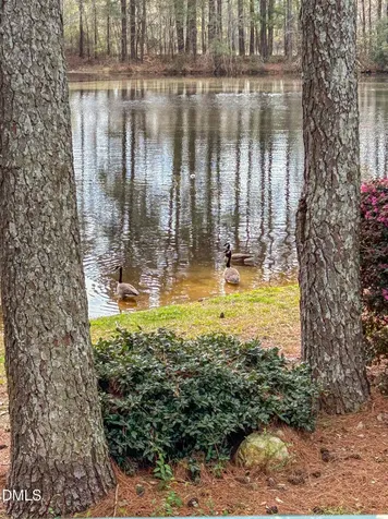 576 Tralee Drive Smithfield NC 27577