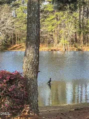 576 Tralee Drive Smithfield NC 27577