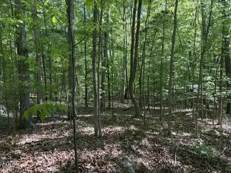 0 Bethel South Fork Road Graham NC 27253