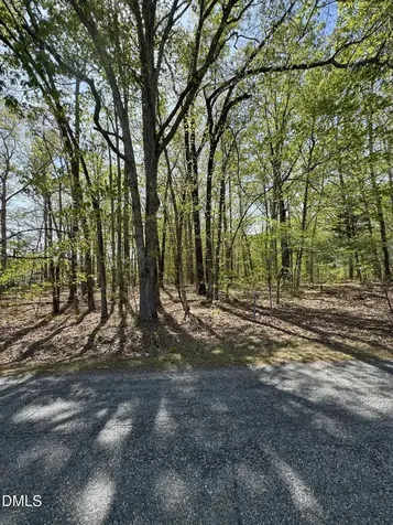 00 Peninsula Lane Henderson NC 27537