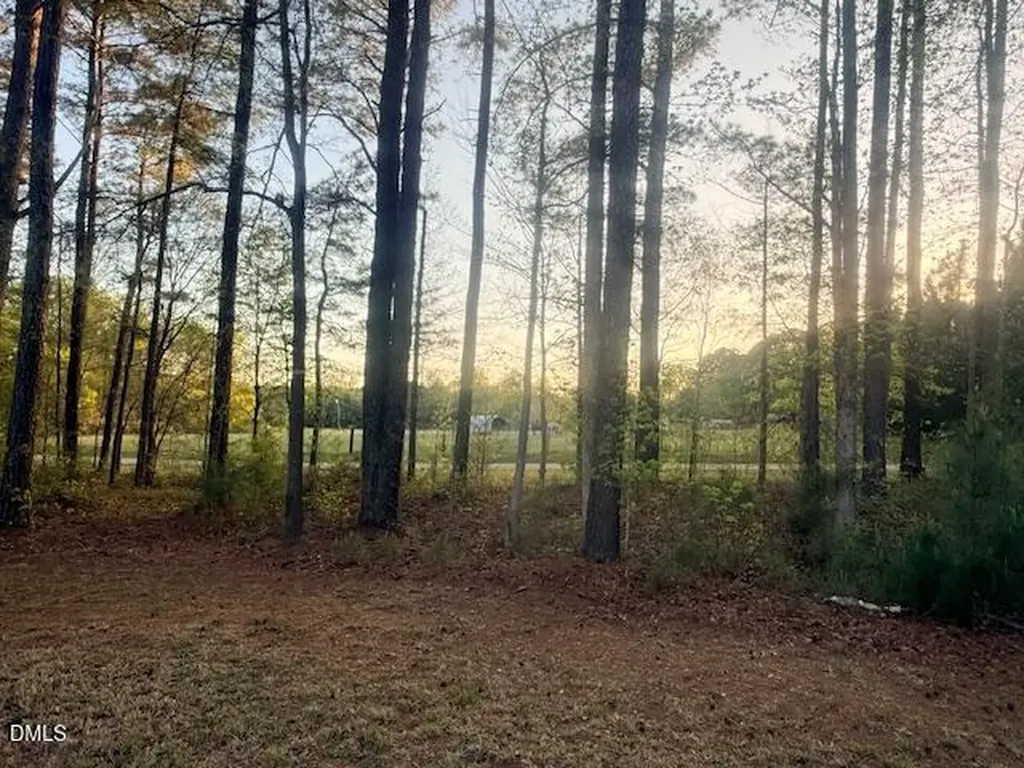 50 Settlers Place Clayton NC 27520
