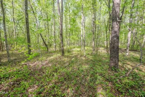 0 Bayles Road Lillington NC 27546