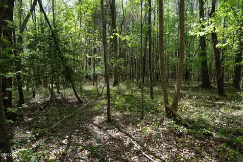 0 Bayles Road Lillington NC 27546