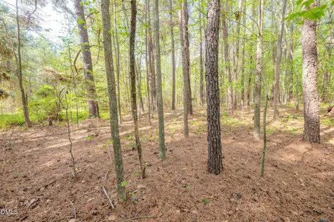 0 Bayles Road Lillington NC 27546
