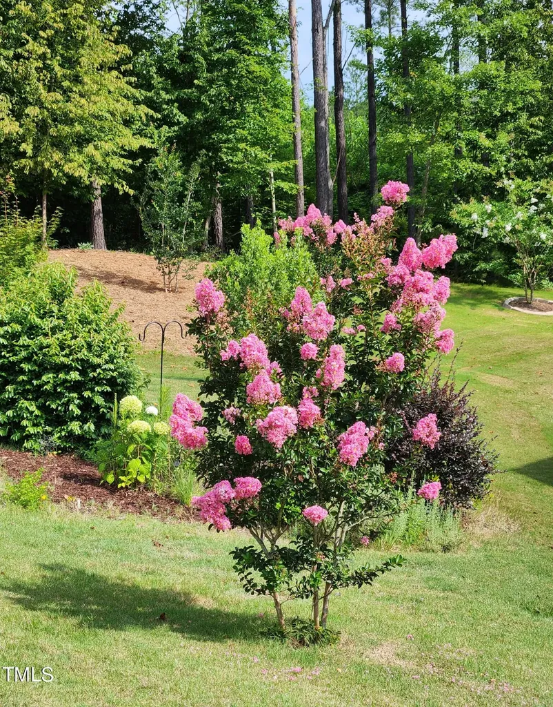 59 Winfield Manor Court Clayton NC 27527