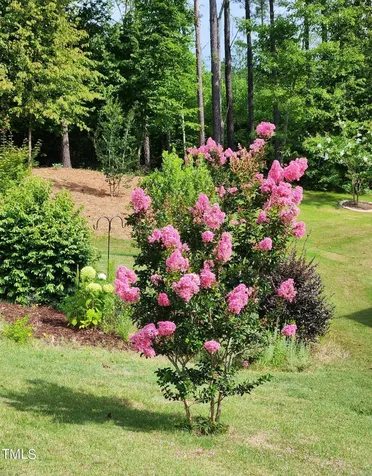 59 Winfield Manor Court Clayton NC 27527