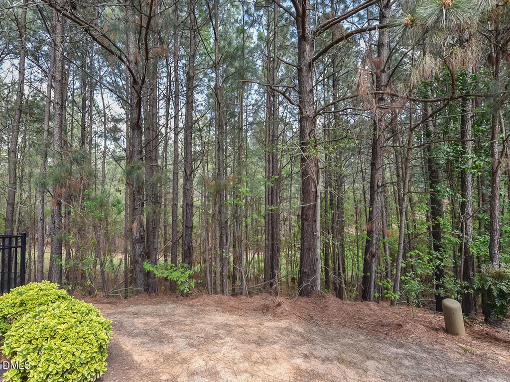 155 Cypress Hill Lane Holly Springs NC 27540
