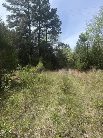 0 Blanchard Road Burlington NC 27217