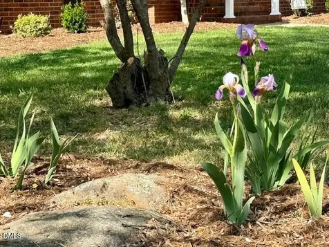 319 Reade Drive Roxboro NC 27573
