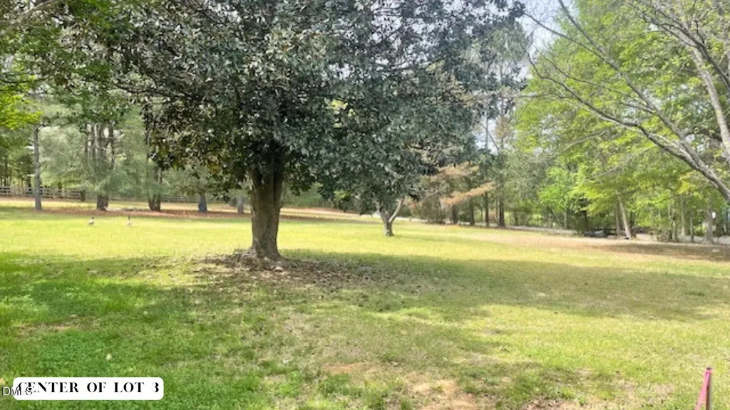 0 U.s. 401 Fuquay Varina NC 27526