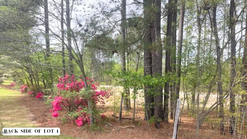0 U.s. 401 Fuquay Varina NC 27526