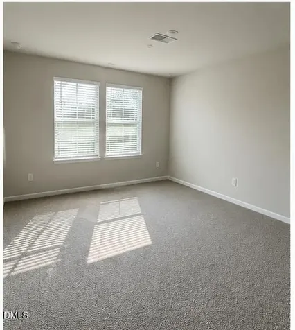 539 White Birch Lane Angier NC 27501