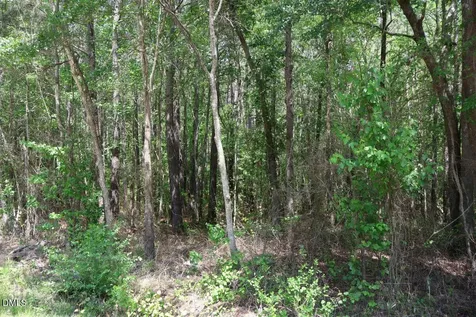 6901 Us Hwy 701 S Four Oaks NC 27524