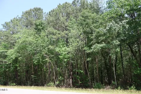 6901 Us Hwy 701 S Four Oaks NC 27524