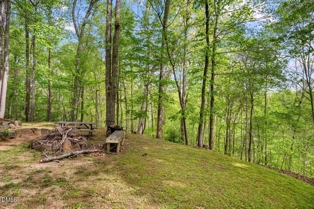 31 Mt Bolus Road Chapel Hill NC 27514