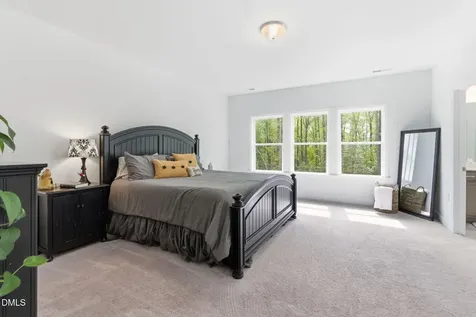 45 Gadwall Court Zebulon NC 27597