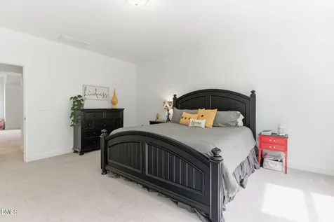 45 Gadwall Court Zebulon NC 27597
