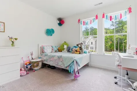 45 Gadwall Court Zebulon NC 27597