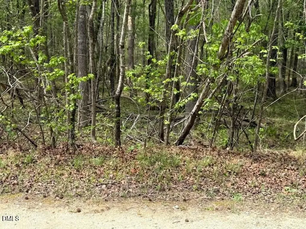 6416 Coltsfoot Drive Rougemont NC 27572