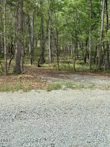 6416 Coltsfoot Drive Rougemont NC 27572