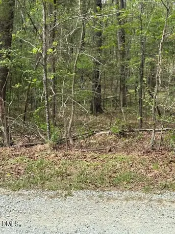 6416 Coltsfoot Drive Rougemont NC 27572